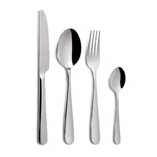 Set Posate Chef in acciaio Inox-24 pezzi
